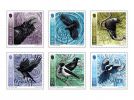 Celtic Corvids Set & Sheet Set